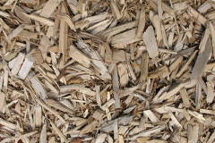 biomass boilers Cardross